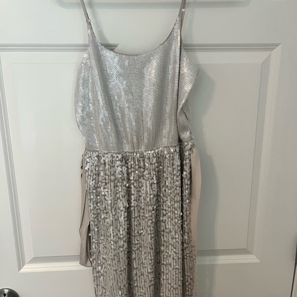 NWT Silver Sequin Dress
